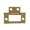 EB Flush Hinge