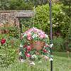 Smart Garden Regal Basket 