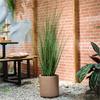 Kaemingk Grass Plant In Pot 