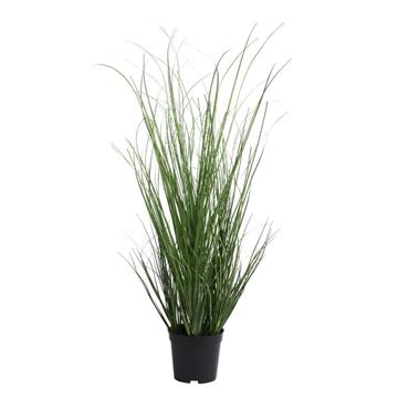 Kaemingk Grass Plant In Pot 