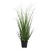 Kaemingk Grass Plant In Pot 