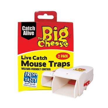 THE BIG CHEESE LIVE MOUSE CATCHER