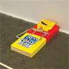 BIG CHEESE FRESH BAITED MOUSE TRAP