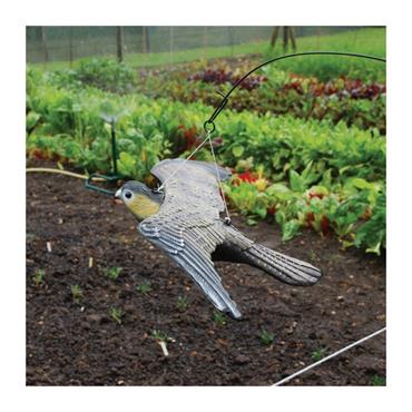 BIG CHEESE FLYING FALCON DECOY
