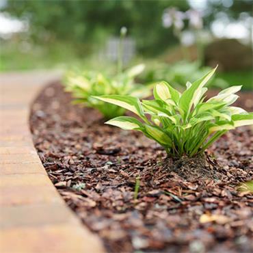 75L TIPPLAND BARK CHIPS MINI