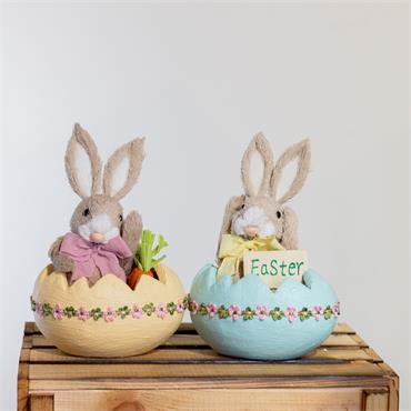 EASTER BUNNY BABY IN EGG