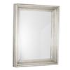 LILY CHAMPAGNE RECTANGLE MIRROR