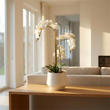 POTTED ORCHID WHITE 55CM