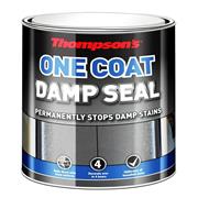 THOMPSONS ONE COAT DAMP SEAL WHITE 2.5lt
