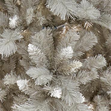 SILVER TIP FIR TREE ARCH