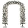 SILVER TIP FIR TREE ARCH