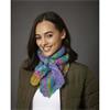 King Cole Pattern 6387 Accessories in Flair Chunky