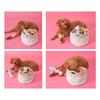 Leisure Arts Dandy Dogs - 14 Chic Canine Crochet Projects - Leisure Arts Book 7925