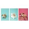Leisure Arts Dandy Dogs - 14 Chic Canine Crochet Projects - Leisure Arts Book 7925