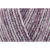 Stylecraft Life DK 100g #5955 Heather