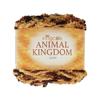 King Cole Animal Kingdom