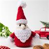 Amigurumi Santa Claus Set