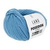 Lang Poseidon #0078 Surf