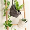 Hooked DIY Crochet Kit Zpagetti Basket Revisto Off White