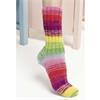 Lang Sockology Pattern 456.0061