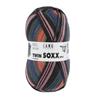 Twin Soxx 8Ply Yarn 100g