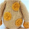 Wee Woolly Wonderfuls Amber the Giraffe Knitting Pattern Booklet