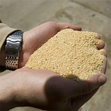 SOYA BEAN MEAL 25KG