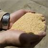 SOYA BEAN MEAL 25KG