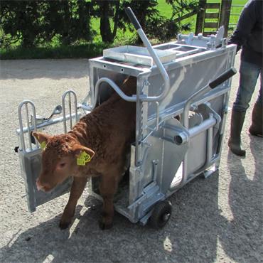 TEEMORE ADVANCED DEHORNING CRATE