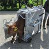 TEEMORE ADVANCED DEHORNING CRATE