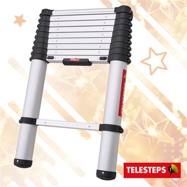 TELESTEPS 3M TELESCOPIC LADDER