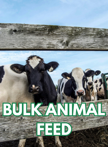 Bulk Animal Feed