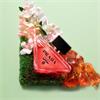Prada Paradoxe EDP Intense 