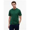 Tommy Hilfiger Essentail Seasonal T-Shirt Green