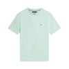 Tommy Hilfiger Essentail Seasonal T-Shirt Mint