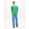 Tommy Jeans Slim Linear Tee Bahama Green