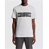 Lyle & Scott Stripe Logo Graphic T-Shirt White