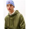 Tommy Jeans Reg Flag Hoodie Green