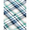 Drifter Ivano Check Short Sleeve Shirt Green