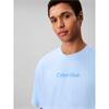 Calvin Klein Logo Crew Neck Tee Breezy Blue