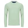 Drifter Crew Neck Jumper Green