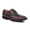 Anatomic Giancarlo Leather Laced Shoe Brown
