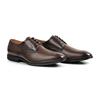 Anatomic Giancarlo Leather Laced Shoe Brown