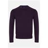 Benetti Julius Crew Neck Jumper Plum
