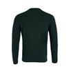 André Valencia V-Neck Jumper Forest