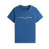 Tommy Hilfiger Tommy Logo T-Shirt Aegean