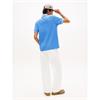 Tommy Jeans Regular Tipped Polo Blue