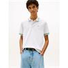 Tommy Jeans Regular Tipped Polo Ice