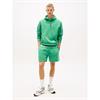 Tommy Jeans Linear Hoodie Green