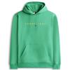 Tommy Jeans Linear Hoodie Green